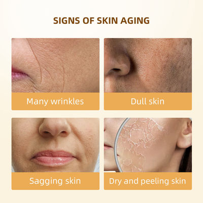 OEM ODM 6X Retinol Moisture Soothing Whitening Anti Wrinkle Anti Aging Facial Skin Toner
