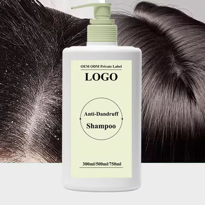 Oil Control Anti Dandruff Anti Itchin Shampoo Deep Cleansing Hair Shampoo