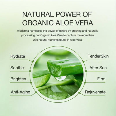 Sooth Aloe Vera Lotion Facial Emulsion Lotion For Dry Sensitive Skin ODM