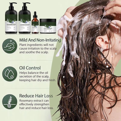 Vegan Hair Care Rosemary Mint Strengthening Oil Control Hair Growth Shampoo Conditioner Hair Oil Masque Mask Set