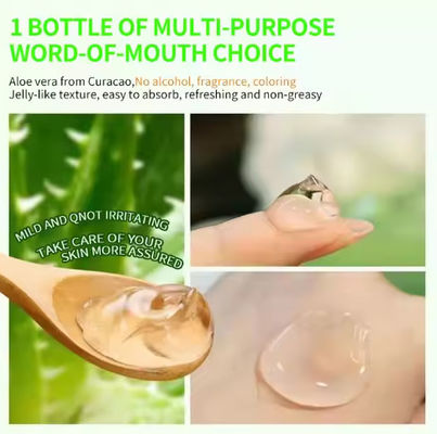 OEM Private Label Moisturizing and Soothing Aloe Vera Gel Creams Skin Rejuvenating Hydrating Face Cream Beauty Facial Skin Care