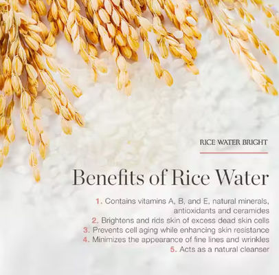 Organic Natural Whitening Rice Water Facial Face Wash Cleanser Private Label Cosmetics for Oily Dry Skin Foamed Cleanser