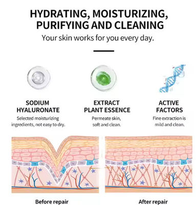 Wholesale 250ml Face Skin Care Qingying Vitamin C Moisturizing Brightening Facial Toner