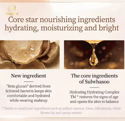 Cruelty-Free Vegan Full Coverage Waterproof BB & CC Cream Compact Foundation Cream SPF50+ Oil-contorl Cushion Foundation
