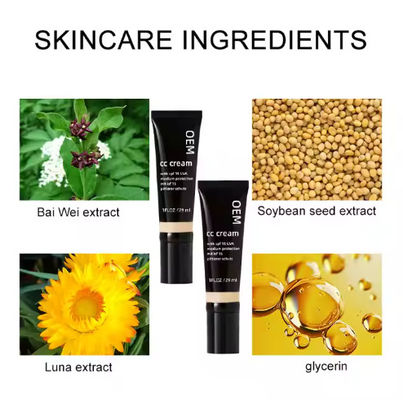 Wholesale Custom Long Lasting Full Coverage Foundations Foundation Full Concealer Makeup Liquid Foundation