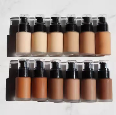 OEM / ODM Private Label Makeup Foundation Full Coverage Liquid Foundation Wholesales No Logo 12 Colors Female Waterproof Body Foundation
