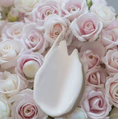 OEM / ODM Wholesale Organic Face Cream & Lotion for All Skin Types Private Label Skincare