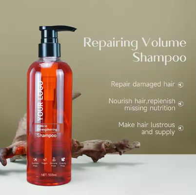 OEM / ODM Custom Logo Sulfate Free Organic Shampoo and Conditioner Keratin Treatment & Argan Oil Maca for Hair Growth Set