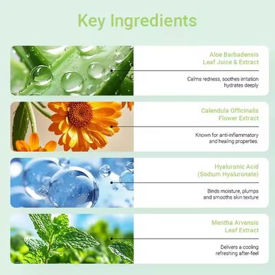 ODM / OEM Private Label 2-in-1 Exfoliating Body Scrub & Wash Aloe Vera HA Blue Wind Chime Fragrance for Deep Hydration Smooth Bright Skin