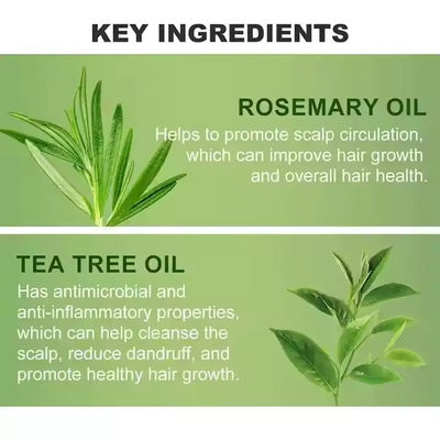 OEM / ODM 100% Natural Organic Tea Tree Oil Infused Rosemary Scalp Care Serum Our Own Brand Hair Treatment and Growth Oil for Men Women